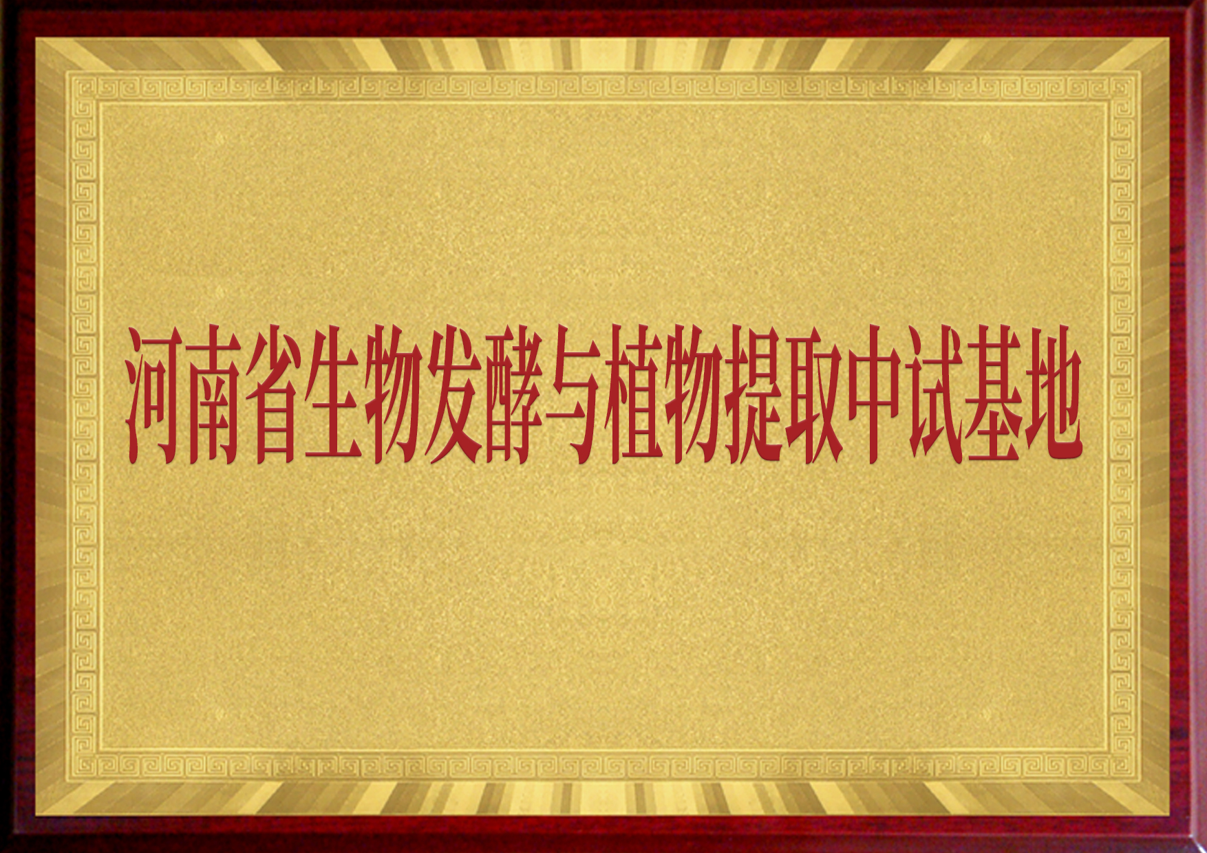 河南省生物发酵与植物提取中试基地